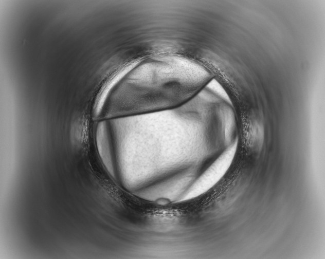 X0000095670543200802051232