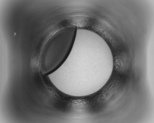 X0000095670544200802051232