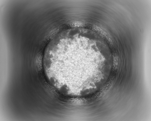 X0000095670545200802051232