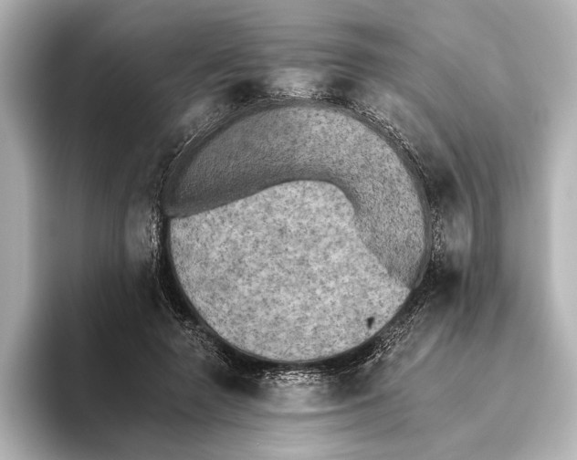 X0000095670546200802051232