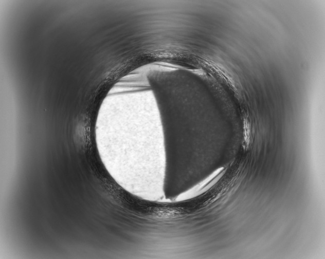 X0000095670547200802051232