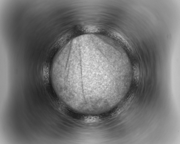 X0000095670549200802051232