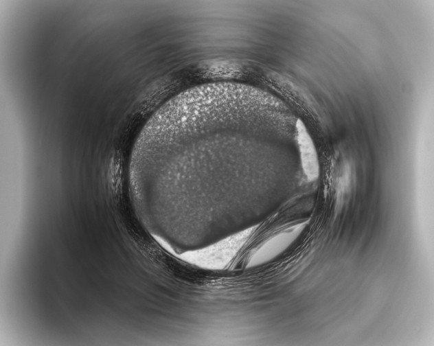 X0000095670551200802051232