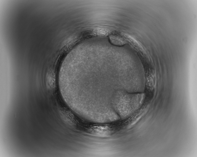 X0000095670552200802051232