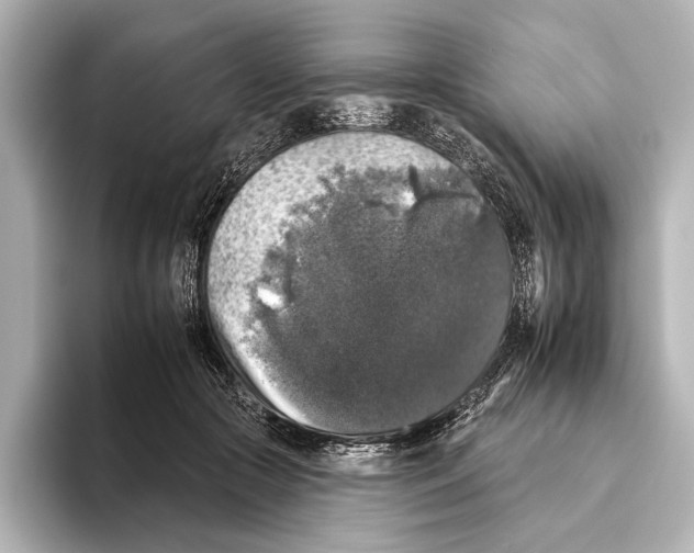 X0000095670553200802051232