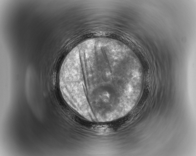 X0000095670554200802051233