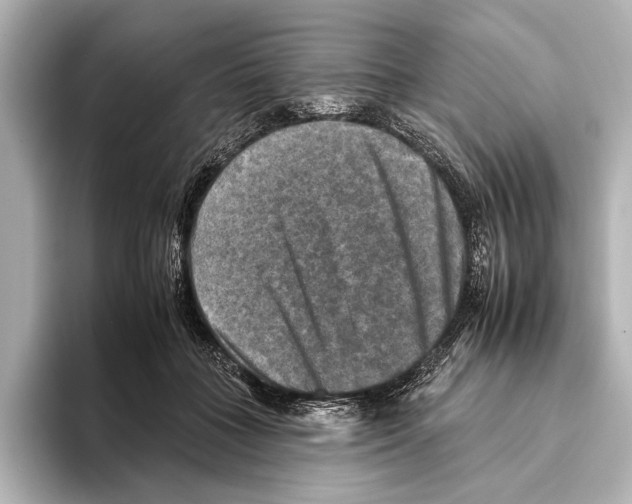 X0000095670555200802051233