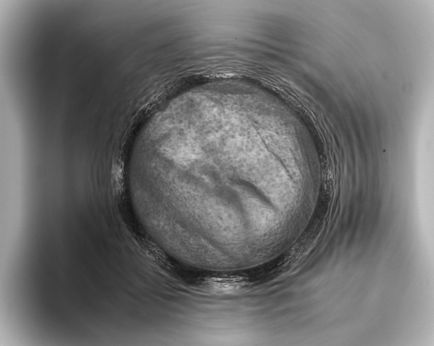 X0000095670556200802051233