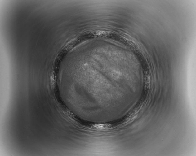 X0000095670558200802051233