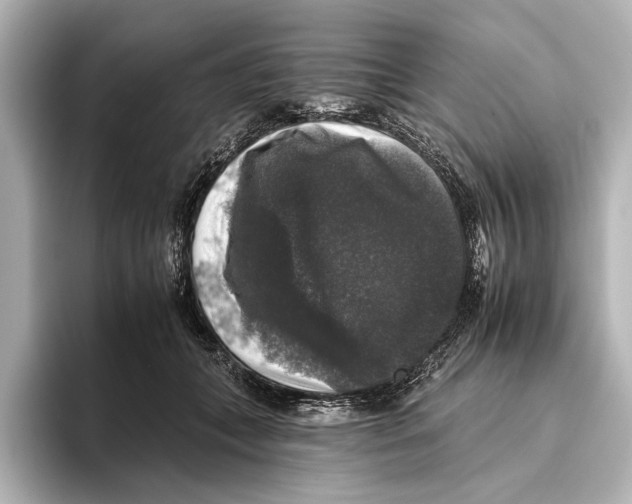 X0000095670559200802051233