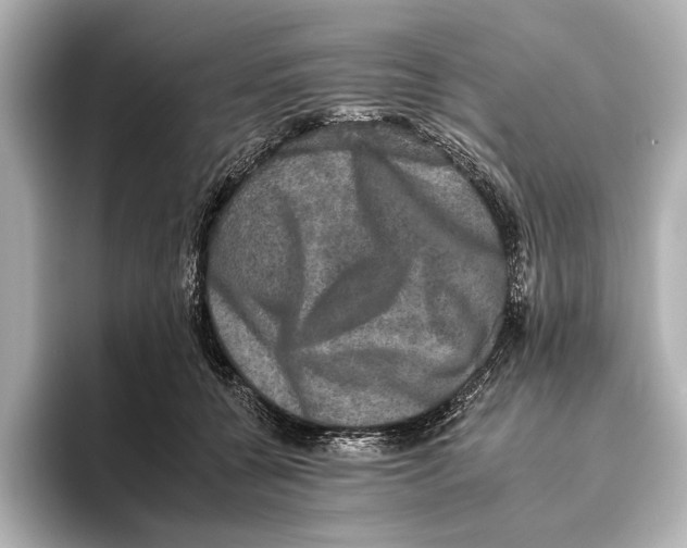 X0000095670560200802051233