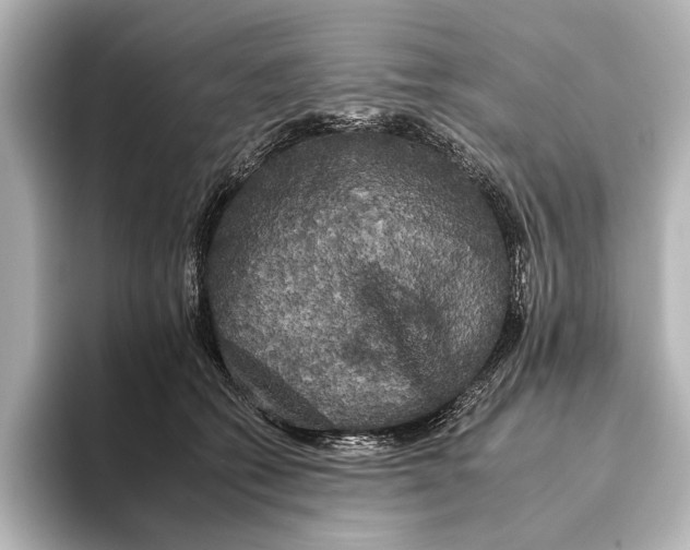 X0000095670562200802051233