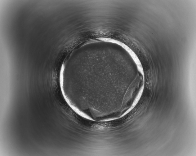 X0000095670563200802051233