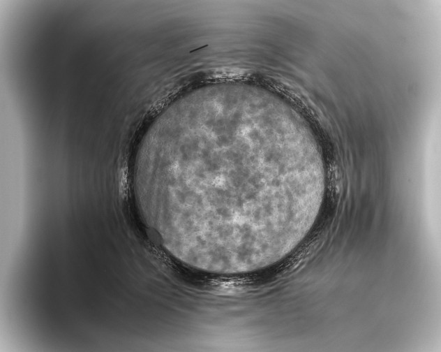 X0000095670564200802051233