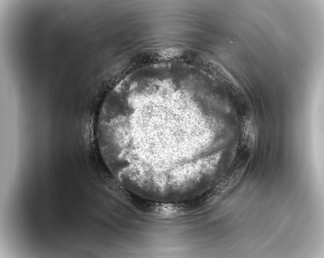 X0000095670565200802051233