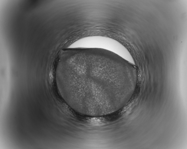 X0000095670566200802051233