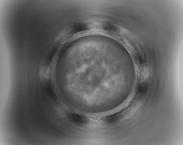 X0000095670568200802051233