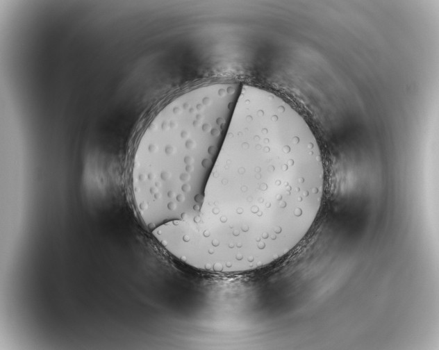 X0000095670569200802051233