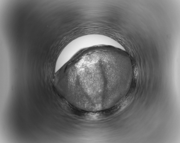 X0000095670570200802051233