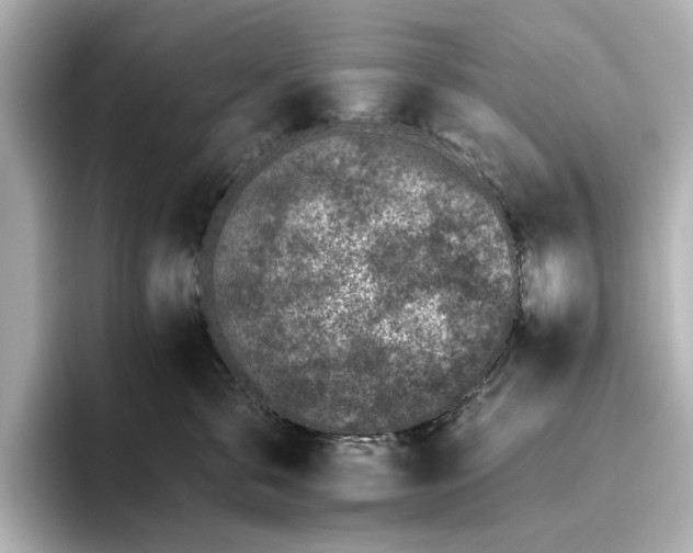 X0000095670571200802051233