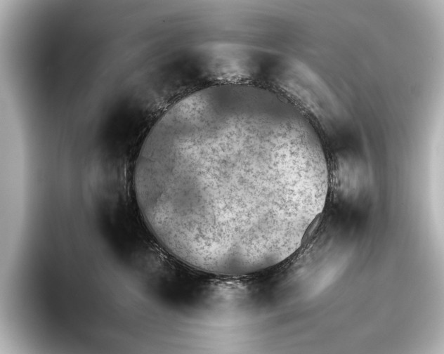 X0000095670572200802051233