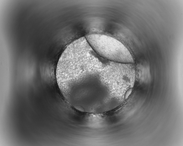 X0000095670573200802051233