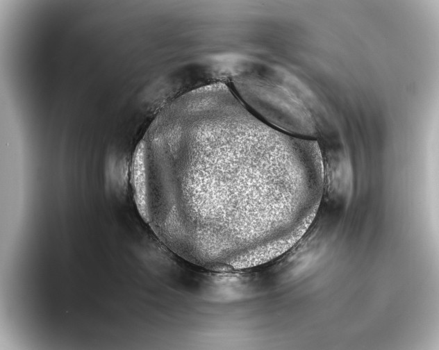 X0000095670574200802051233