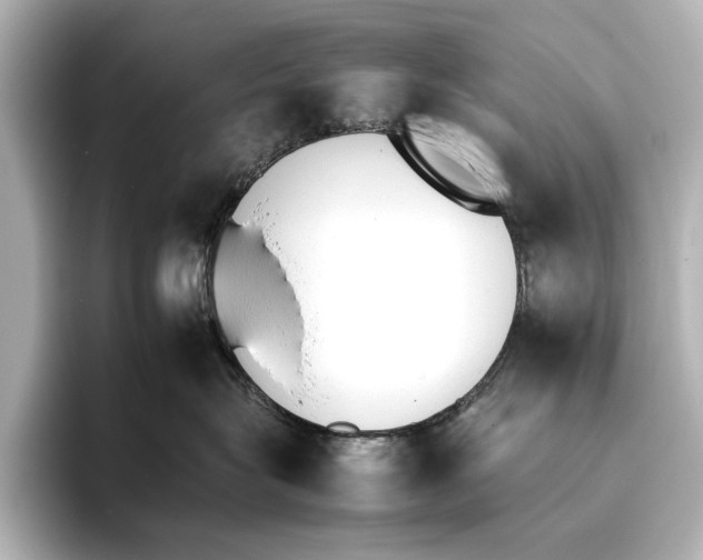 X0000095670575200802051233