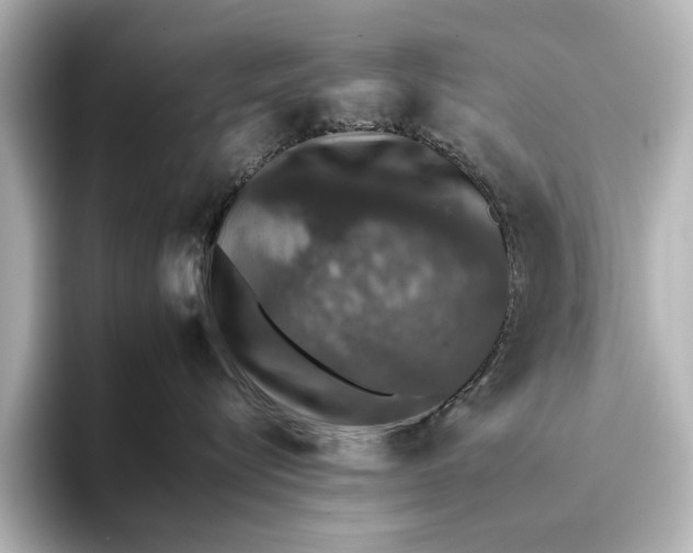 X0000095670576200802051233