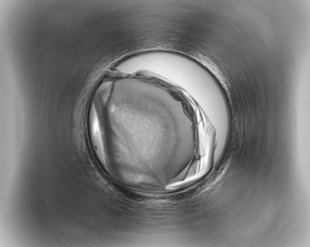 X0000095670577200802051232