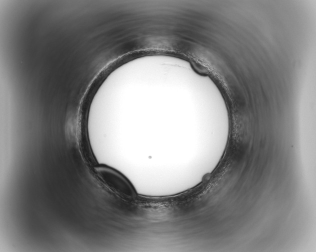 X0000095670580200802051232