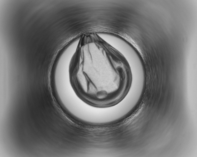 X0000095670581200802051232