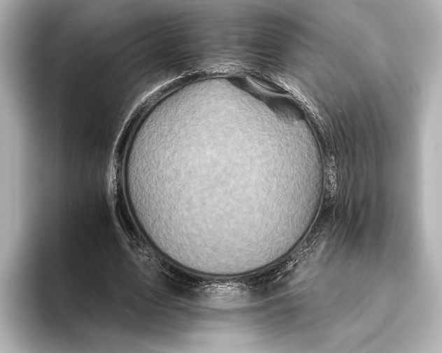 X0000095670583200802051232