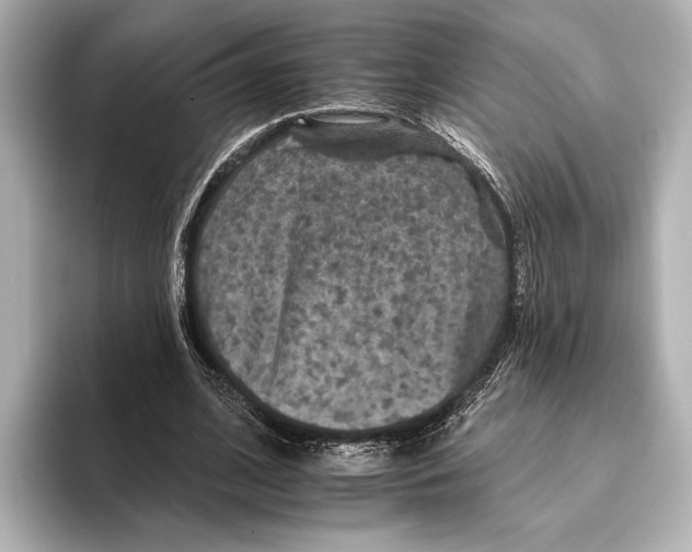 X0000095670584200802051232