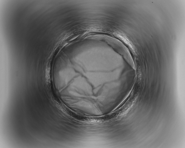 X0000095670585200802051232