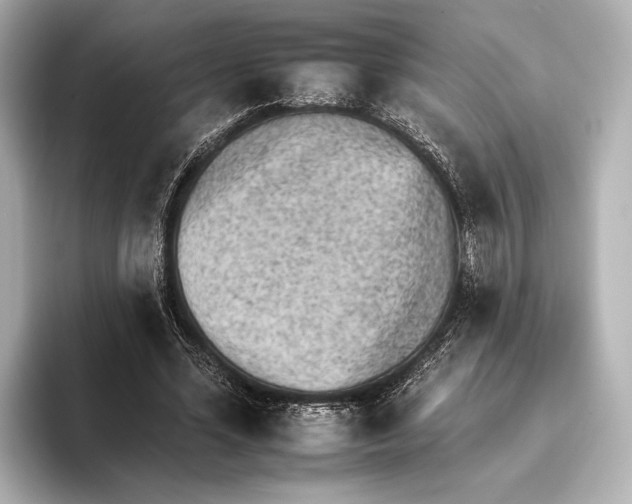 X0000095670588200802051232