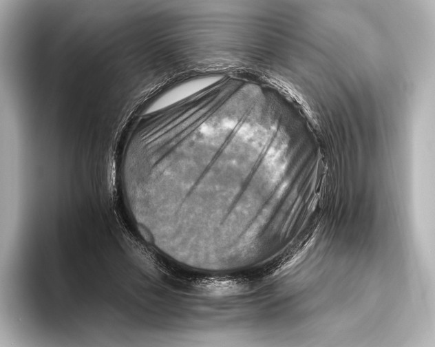 X0000095670589200802051232