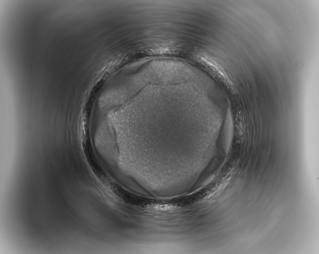 X0000095670590200802051232