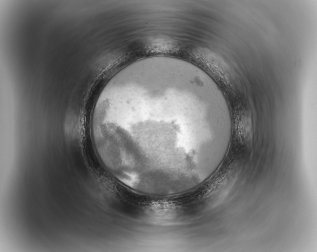 X0000095670591200802051232