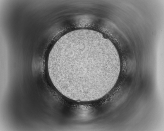 X0000095670592200802051232