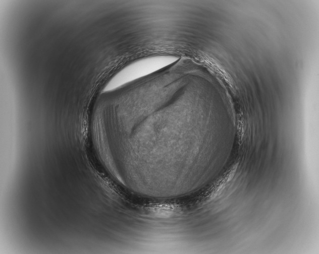 X0000095670593200802051232