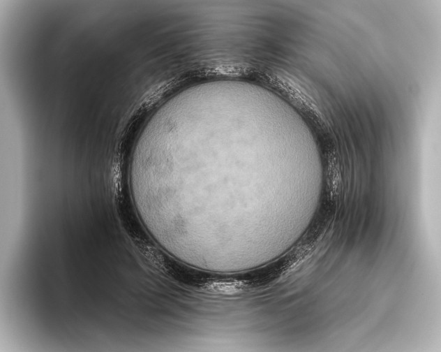 X0000095670595200802051232