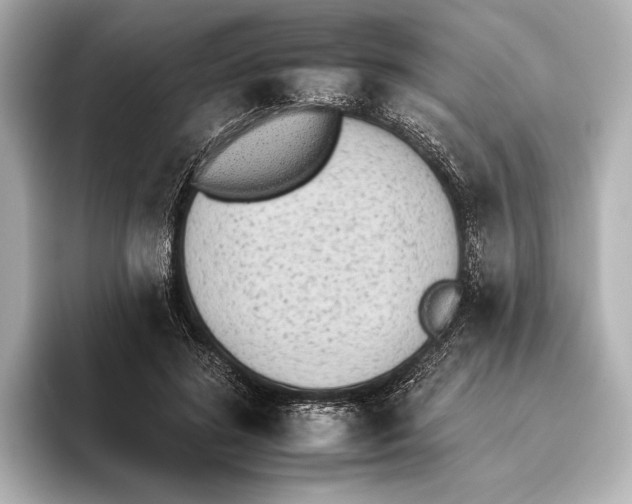 X0000095670596200802051232