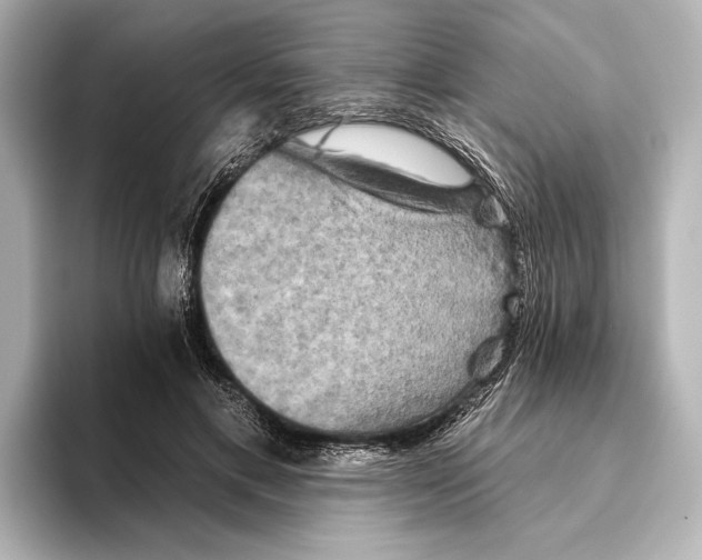 X0000095670597200802051232