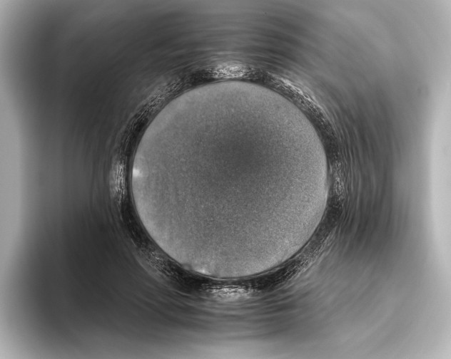 X0000095670598200802051232