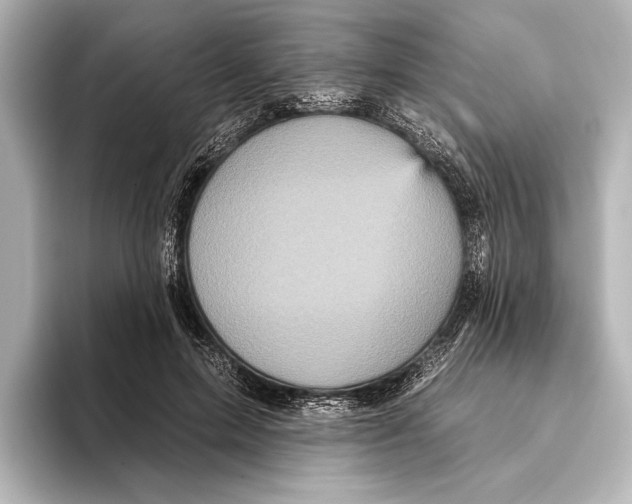 X0000095670599200802051232