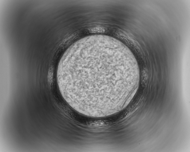 X0000095670600200802051232