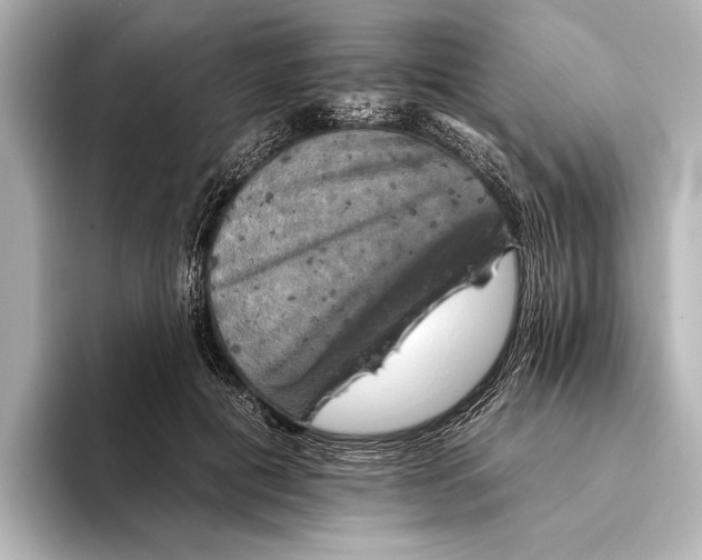 X0000095670601200802051232