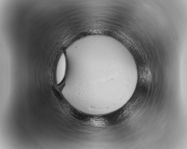 X0000095670603200802051232