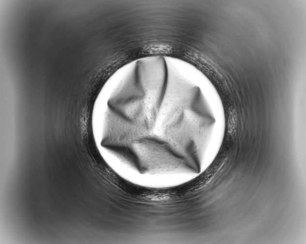 X0000095670604200802051232